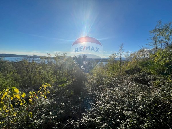 terreno agricolo in vendita a Gavirate