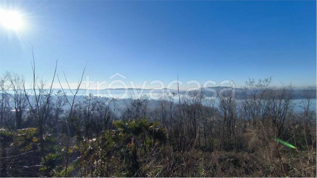 terreno agricolo in vendita a Gavirate