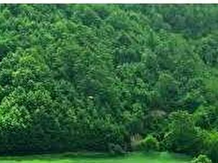 terreno edificabile in vendita a Gavirate