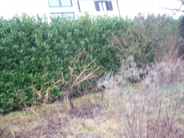 casa indipendente in vendita a Gazzada Schianno