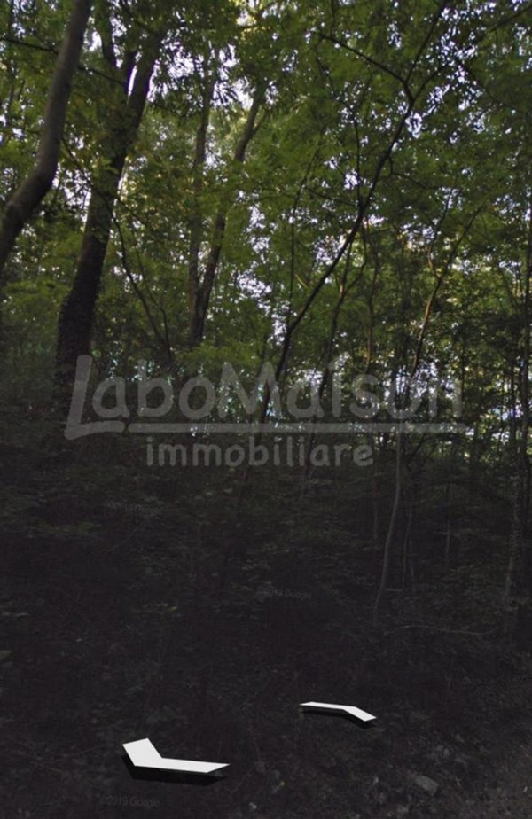 terreno agricolo in vendita a Gemonio