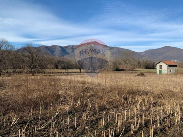 terreno agricolo in vendita a Gemonio