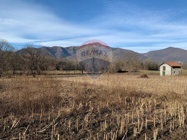 terreno agricolo in vendita a Gemonio