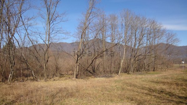 terreno agricolo in vendita a Gemonio