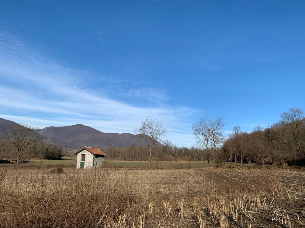 terreno agricolo in vendita a Gemonio