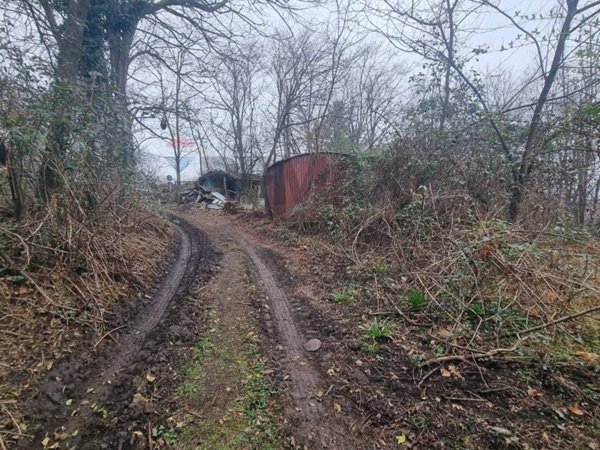 terreno agricolo in vendita a Germignaga
