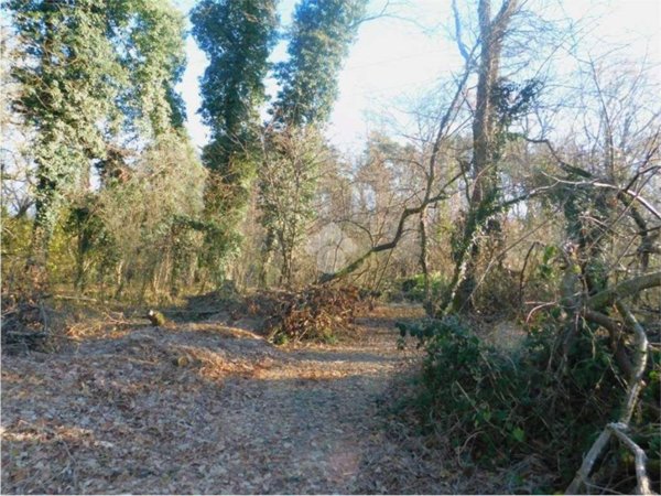 terreno agricolo in vendita a Golasecca