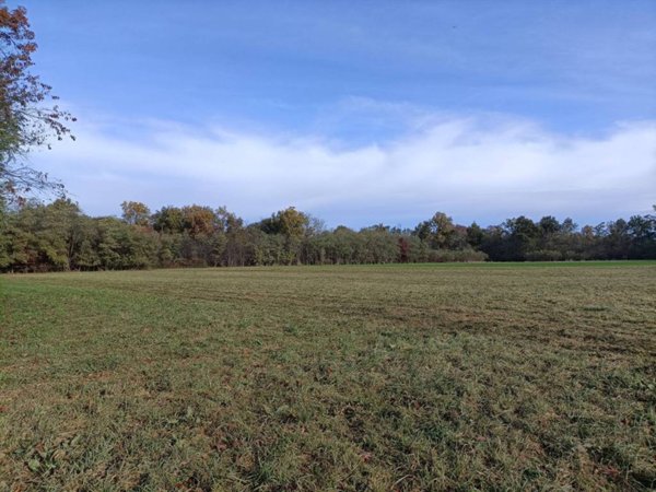 terreno agricolo in vendita a Gorla Maggiore
