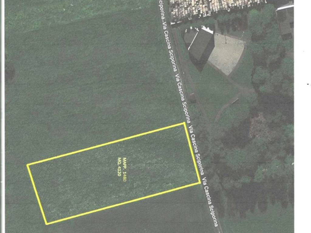 terreno agricolo in vendita a Gorla Maggiore