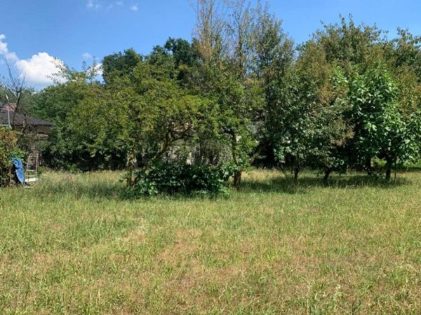terreno edificabile in vendita a Gorla Maggiore