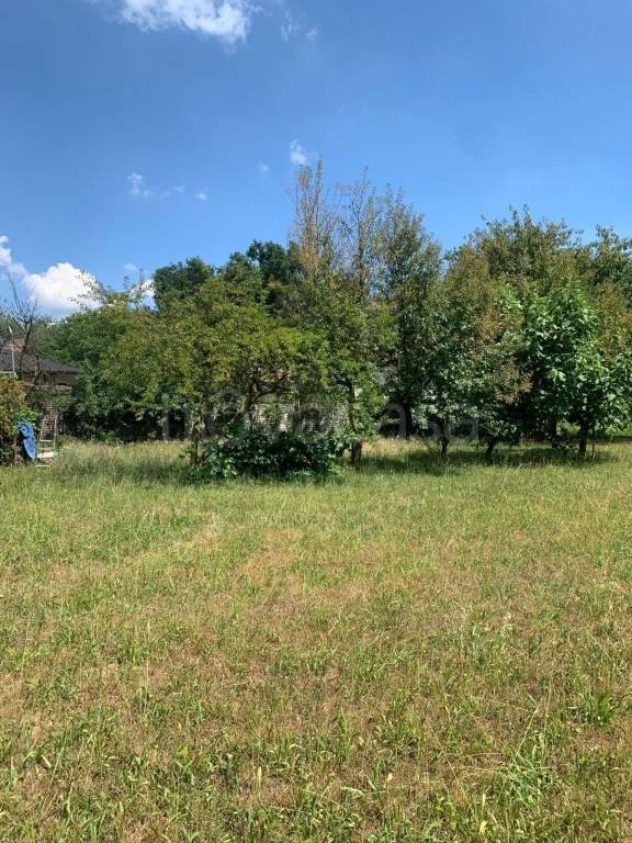 terreno edificabile in vendita a Gorla Maggiore