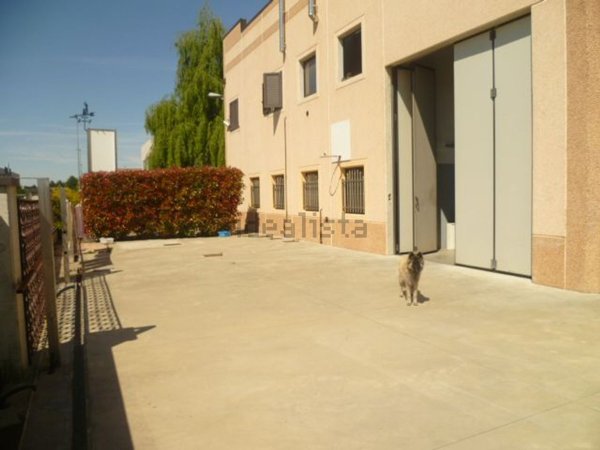 appartamento in vendita a Gorla Maggiore