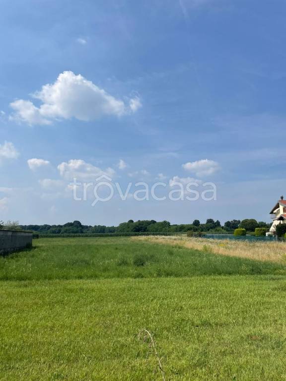 terreno edificabile in vendita a Gorla Maggiore