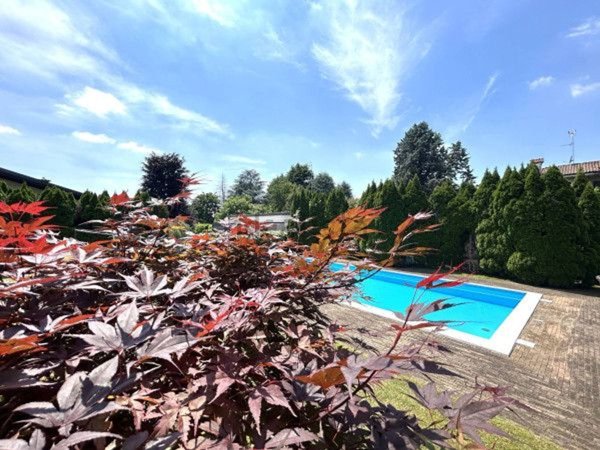 casa indipendente in vendita a Gorla Maggiore