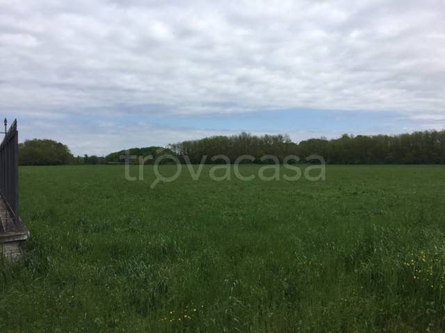 terreno agricolo in vendita a Gorla Minore