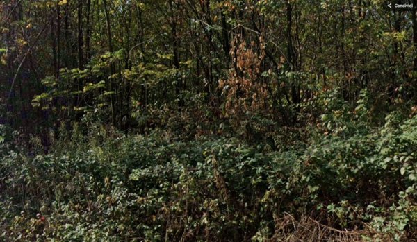 terreno edificabile in vendita a Gorla Minore