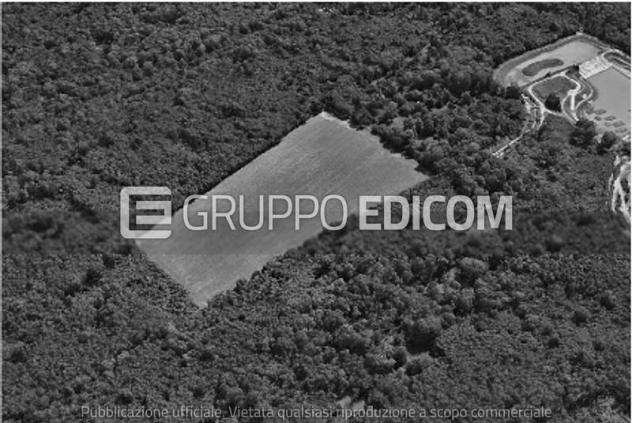 terreno agricolo in vendita a Gorla Minore