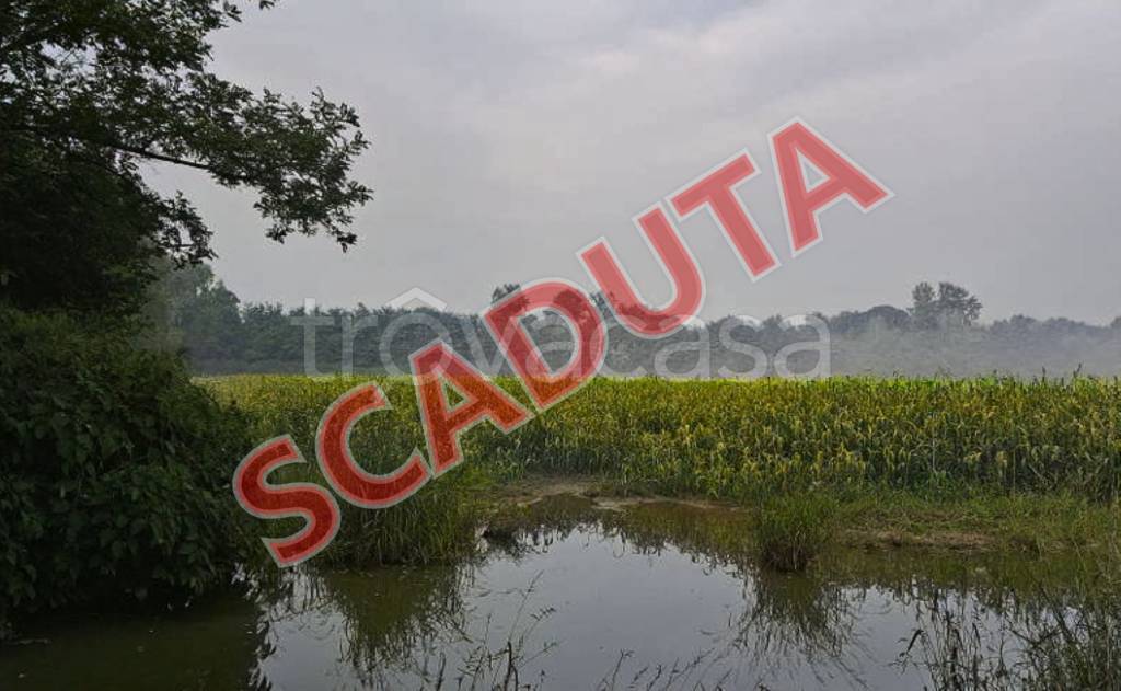 terreno edificabile in vendita a Gorla Minore