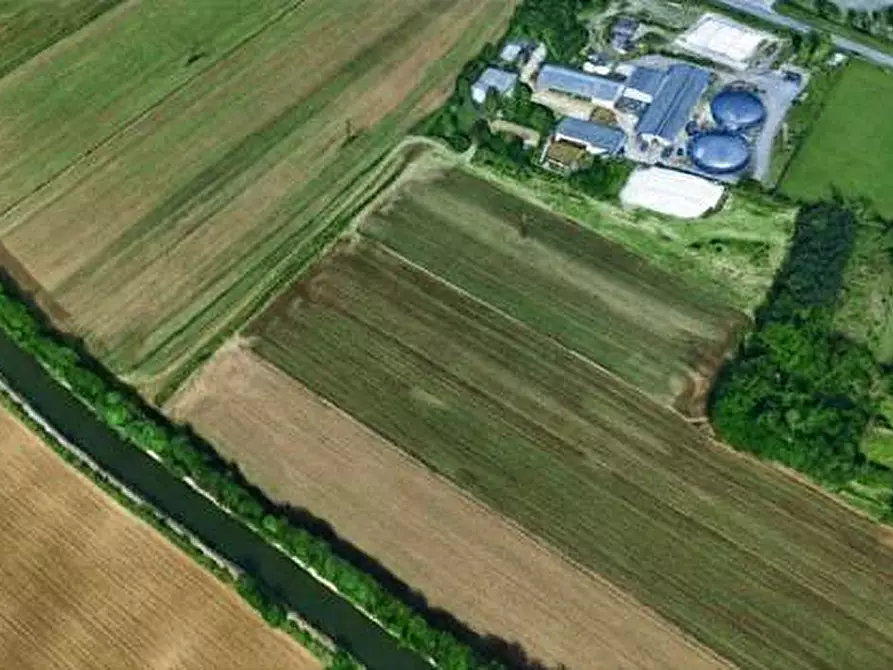 terreno agricolo in vendita a Gorla Minore