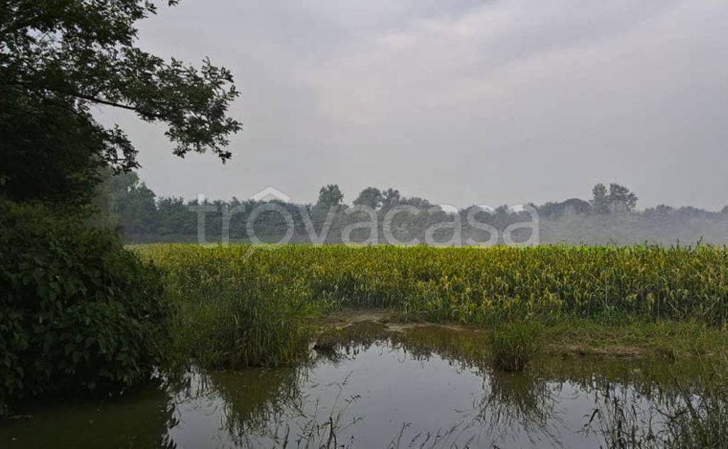 terreno edificabile in vendita a Gorla Minore