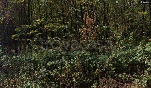 terreno edificabile in vendita a Gorla Minore