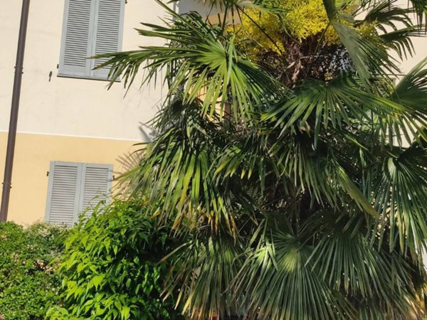 appartamento in vendita a Gornate Olona