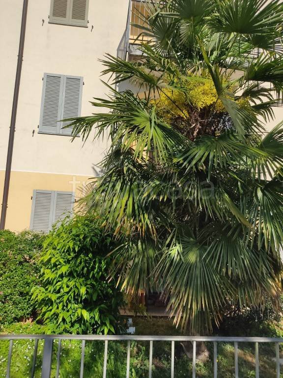appartamento in vendita a Gornate Olona