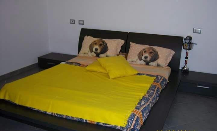 appartamento in vendita ad Inarzo