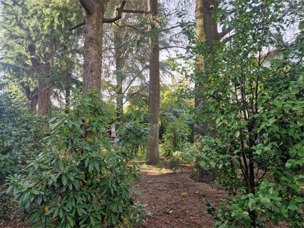 casa indipendente in vendita ad Induno Olona