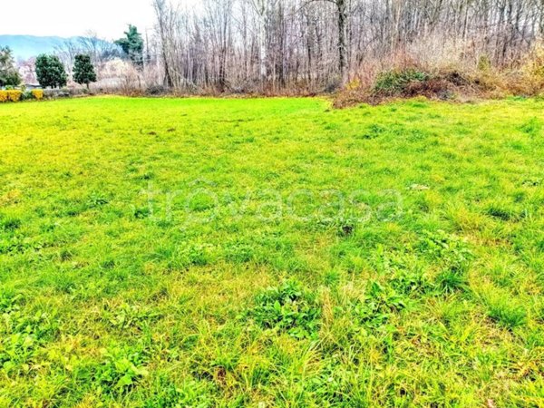 terreno agricolo in vendita ad Ispra