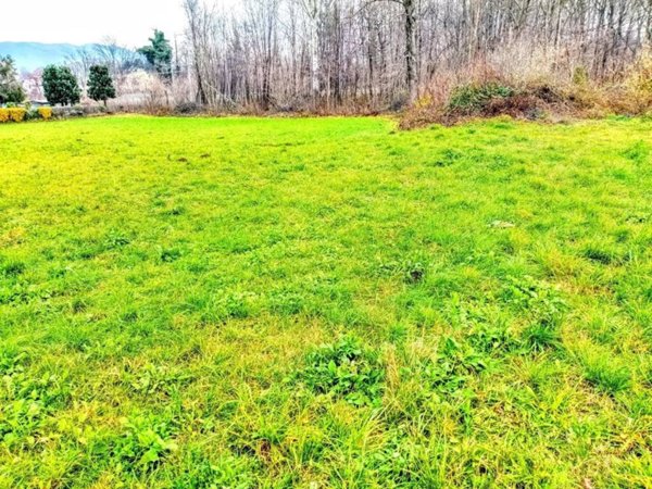 negozio in vendita ad Ispra