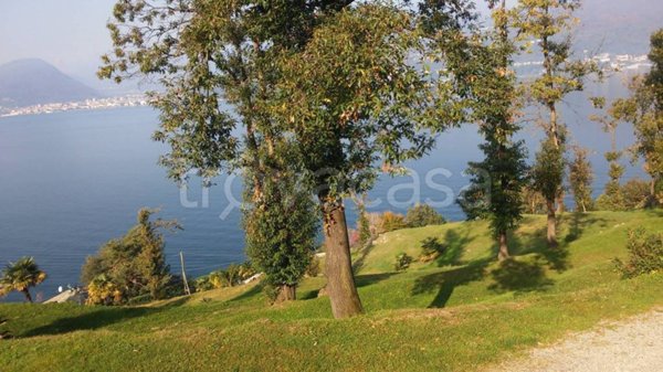 terreno agricolo in vendita a Laveno-Mombello in zona Laveno