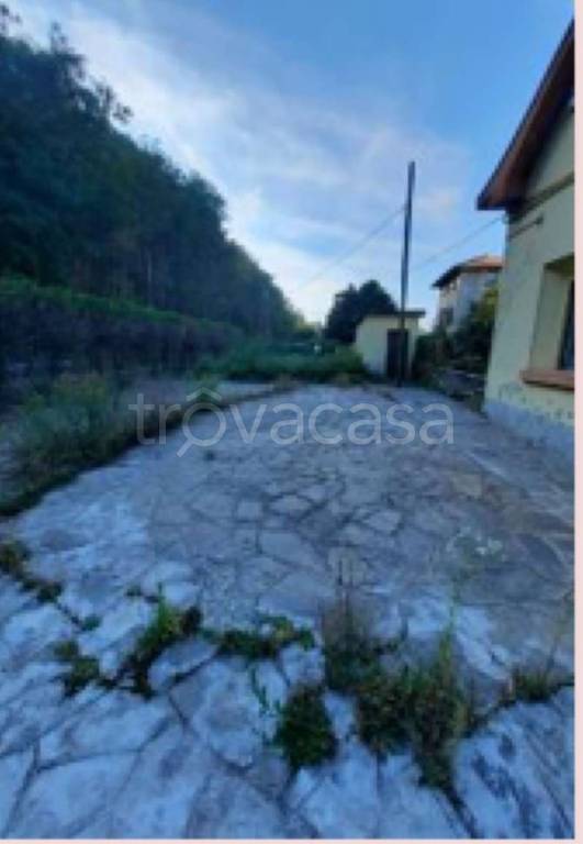 immagine annuncio 0 di 15