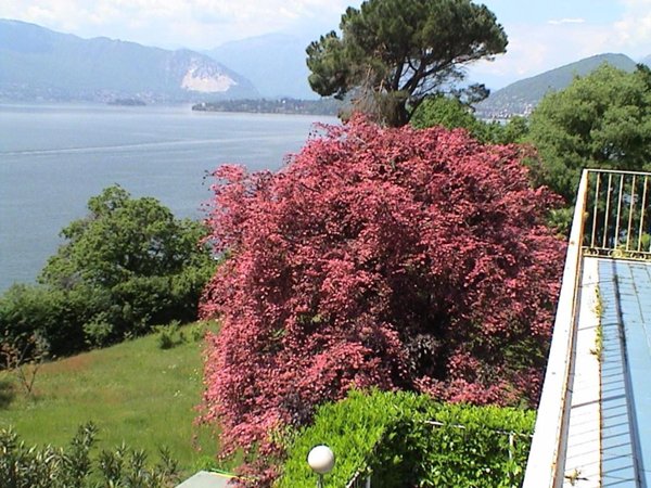 appartamento in vendita a Laveno-Mombello in zona Laveno