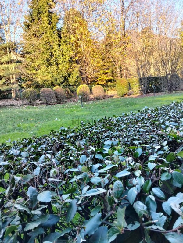 appartamento in vendita a Laveno-Mombello in zona Mombello