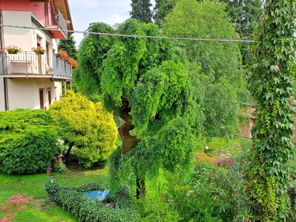 casa indipendente in vendita a Leggiuno in zona Arolo