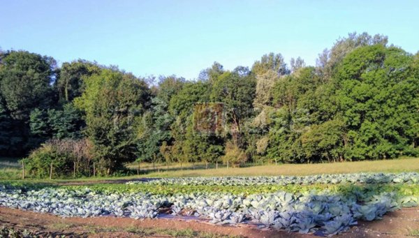 terreno agricolo in vendita a Leggiuno in zona Marzaro