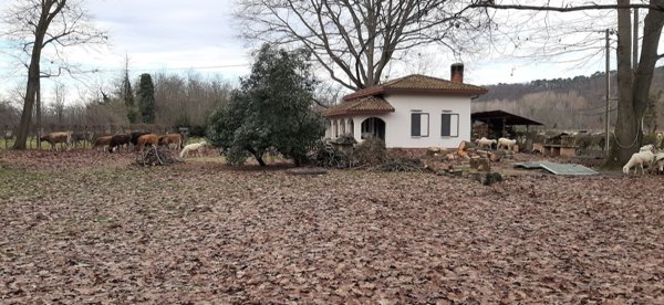 appartamento in vendita a Lonate Pozzolo