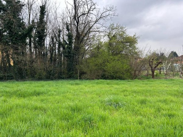 casa indipendente in vendita a Lonate Pozzolo