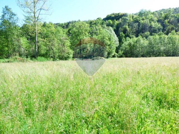 terreno agricolo in vendita a Luino