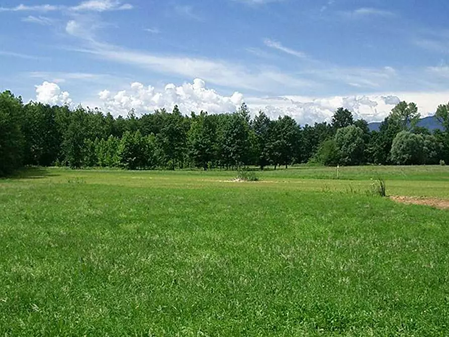 terreno agricolo in vendita a Luino in zona Voldomino
