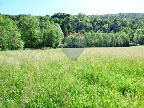 terreno agricolo in vendita a Luino