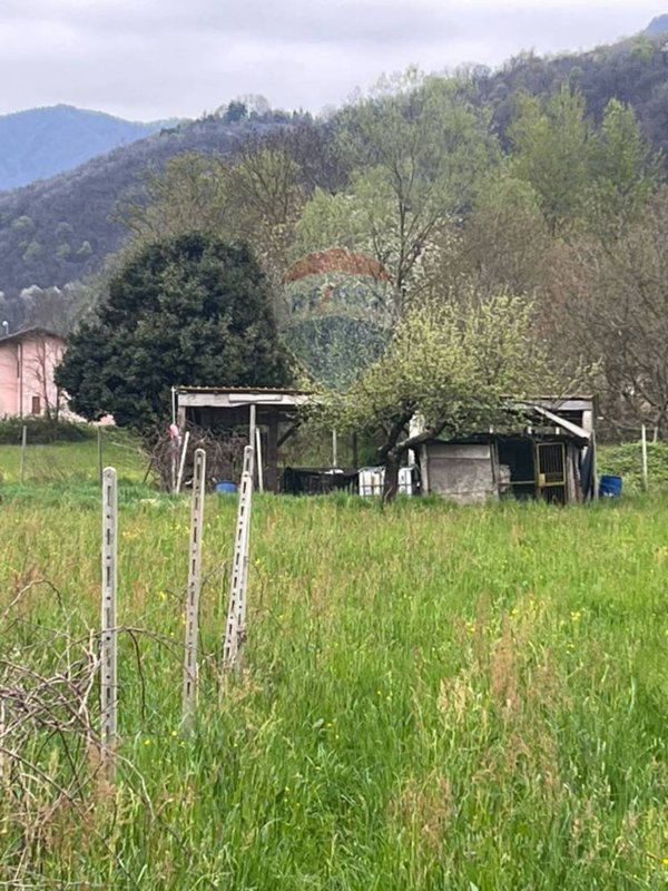 terreno agricolo in vendita a Luino in zona Voldomino
