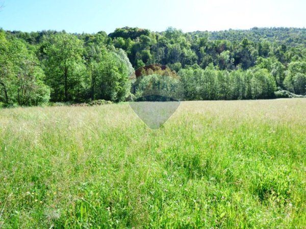 terreno agricolo in vendita a Luino in zona Voldomino