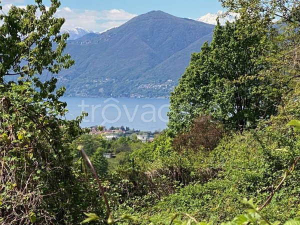 terreno agricolo in vendita a Luino in zona Longhirolo