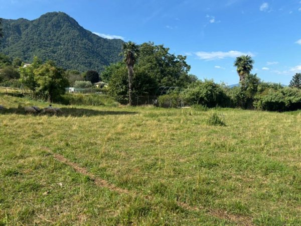 terreno agricolo in vendita a Luino