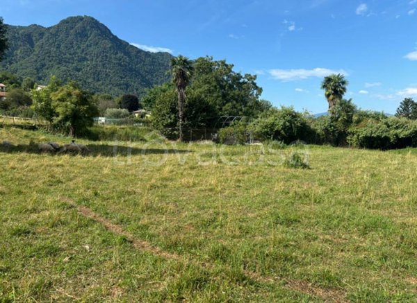 terreno agricolo in vendita a Luino