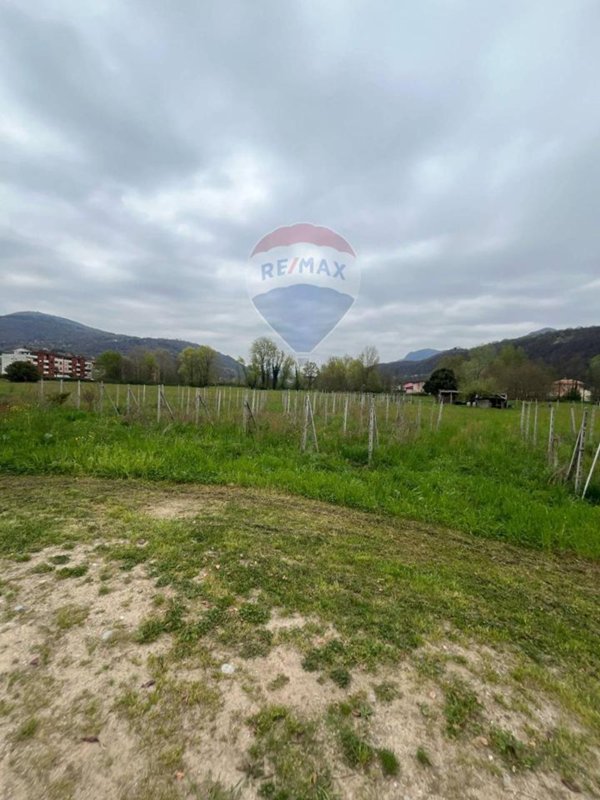 terreno agricolo in vendita a Luino in zona Voldomino