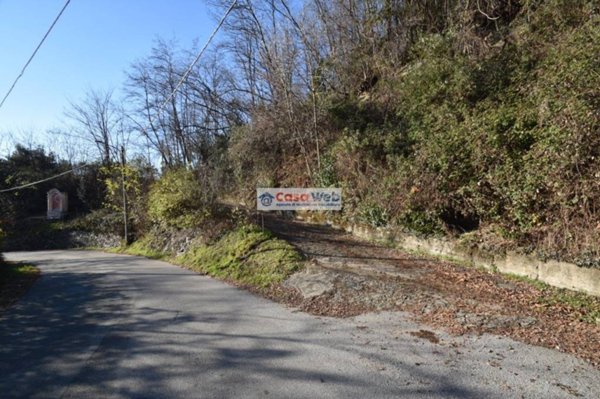 terreno agricolo in vendita a Luino in zona Colmegna