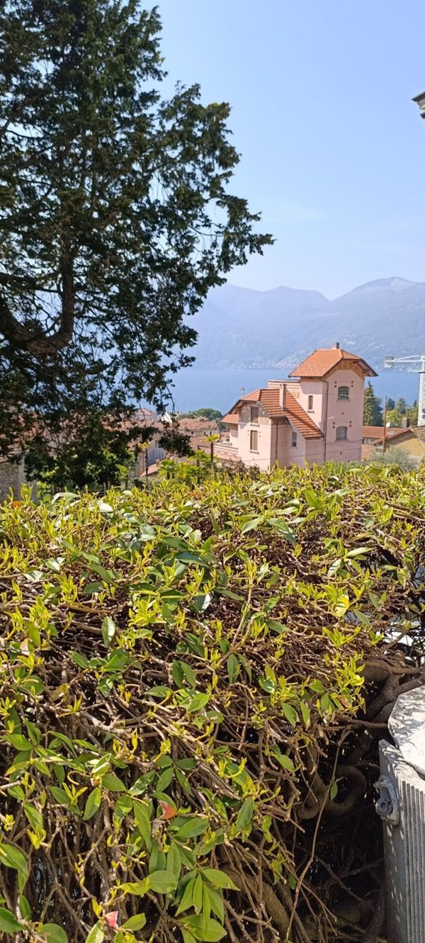 appartamento in vendita a Luino